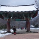 선운산향기