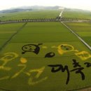 모자이크B 이미지