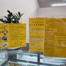 개빵뜯어먹는소리 이미지