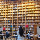 지혜의 숲 이미지