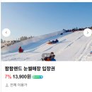팜팜비 | 멀리갈 필요 없는 서울 근교 어린이 눈썰매장 "팜팜랜드" 솔직 방문 후기 안양 안산 광명 시흥