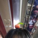 에코마을사업단(한방카페 정) | 제주도