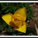 양양명주사부도군 이미지