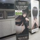 살롱드태민