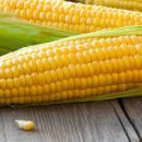 초당옥수수 전자레인지 몇분 초당옥수수 보관 먹는법 이미지