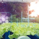 스마트팜 이미지