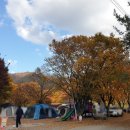 운문사계절캠핑장 이미지