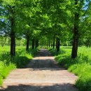 팔당물안개공원 이미지