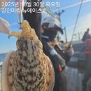 남해쭈꾸미 이미지