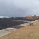 파도가 그리울때는 그냥 가면된다구여....제주바닷가....2012년02월 이미지
