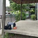 캠핑 기록 : 용인 배나무밭 캠핑장 (숲속의 아침 주말 농원)