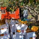 죽청농장 이미지