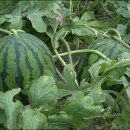 별나라 PC방 이미지