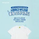 스쿨룩스 이데일리