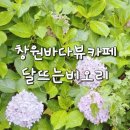 달뜨는비오리 이미지