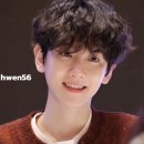 댕댕이미용실 이미지