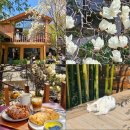 에스피엔지(주) 본점 | 부산 목련 명소 카페 모모스커피 본점 주차 실시간 개화상황 3월 꽃구경