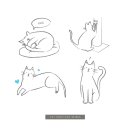 편안한건강식품 이미지