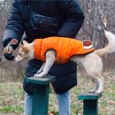 우다다 유치원 이미지