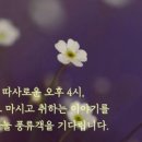 효창서담 이미지