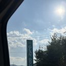 수영-305 | [강원 양양]글램독 애견팬션 양양점 수영장 및 일반형 305호 후기