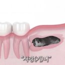 프루스트 이미지