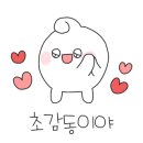 깡통열차 이미지