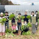 슬기네 농장 이미지