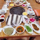 힘센 민물장어 이미지