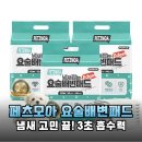 페츠모아 냄새잡는 요술배변패드, 아침마다 괴롭히던 강아지 소변 냄새와 작별한 리얼 후기