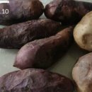 210110 | [쿠팡이츠 배달파트너 도보 4일차 후기(3건)]_210110(일)