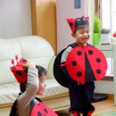 고남농장 이미지