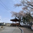 국민학교 다닐 때 친구였는데 미국으로 이민을 떠나는 바람에 연락이 끊겼던 친구를 45년만에 만남 이미지