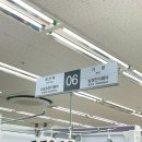 설원태양광 | 가성비끝판왕 다이소 선글라스 털어왔습니다😎✌🏻