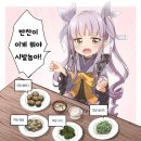 앵페스타 이미지