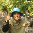 이승민농장 이미지