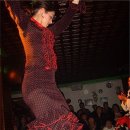 꿈의궁전 이미지