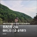 바코드나인 | 제천 포레스트리솜 해브나인 스파 후기｜가격 할인 준비물 총정리