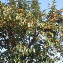 옥동농장 이미지