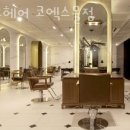 헤어몰 이미지