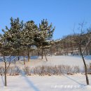 옥구공원 Daum카페
