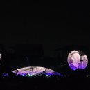 캐일리