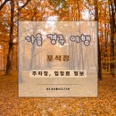 낭만시대 | 신라시대 연회 장소! 풍류와 낭만이 있는 포석정 방문 후기(주차장, 입장료 정보 포함)