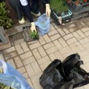 영이네농장 | 영이네꽃화원 | 서울 모종 사는 곳 | 채소 꽃 모종 | 주말농장 | 도시농부