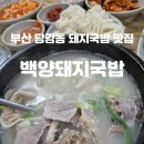 백양돼지국밥 이미지