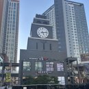 모모파크 - 보령시 울계큰길 332-32 | [동탄맛집] 2동탄 샤브샤브 맛집, 모모식탁 솔직후기, 카림애비뉴맛집, 동탄맛집