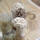 용광농장 이미지