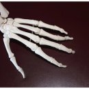 스마트 신경외과의원 이미지