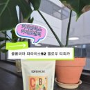 요일디자인웍스 | 커피앳웍스 커피모멘터 5기 | 콜롬비아 파라이소92 옐로우 티피카