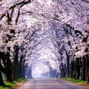 용산-353 이미지